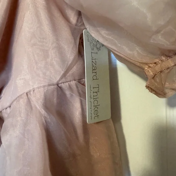 Lizard Thicket Blush Sheer Dress - Picture 3 of 6